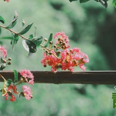 乐鱼app(中国体育)官方网站下载手机版截图