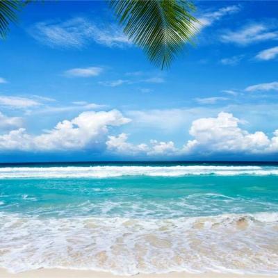 best365官网登录入口