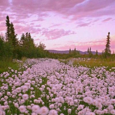 金星棋牌app下载